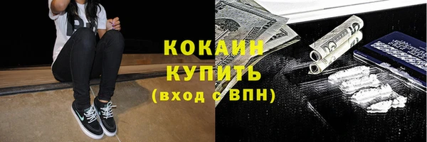 apvp Горняк