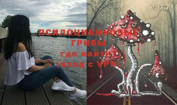 тгк Горно-Алтайск