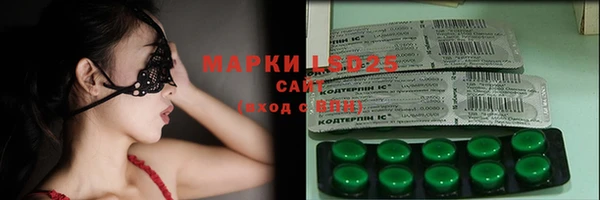 apvp Горняк