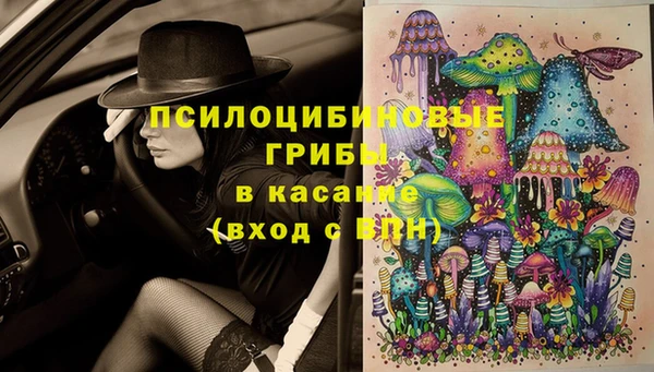 apvp Горняк