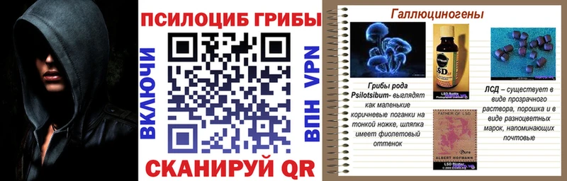 Купить где  Сафоново  Псилоцибиновые грибы GOLDEN TEACHER 